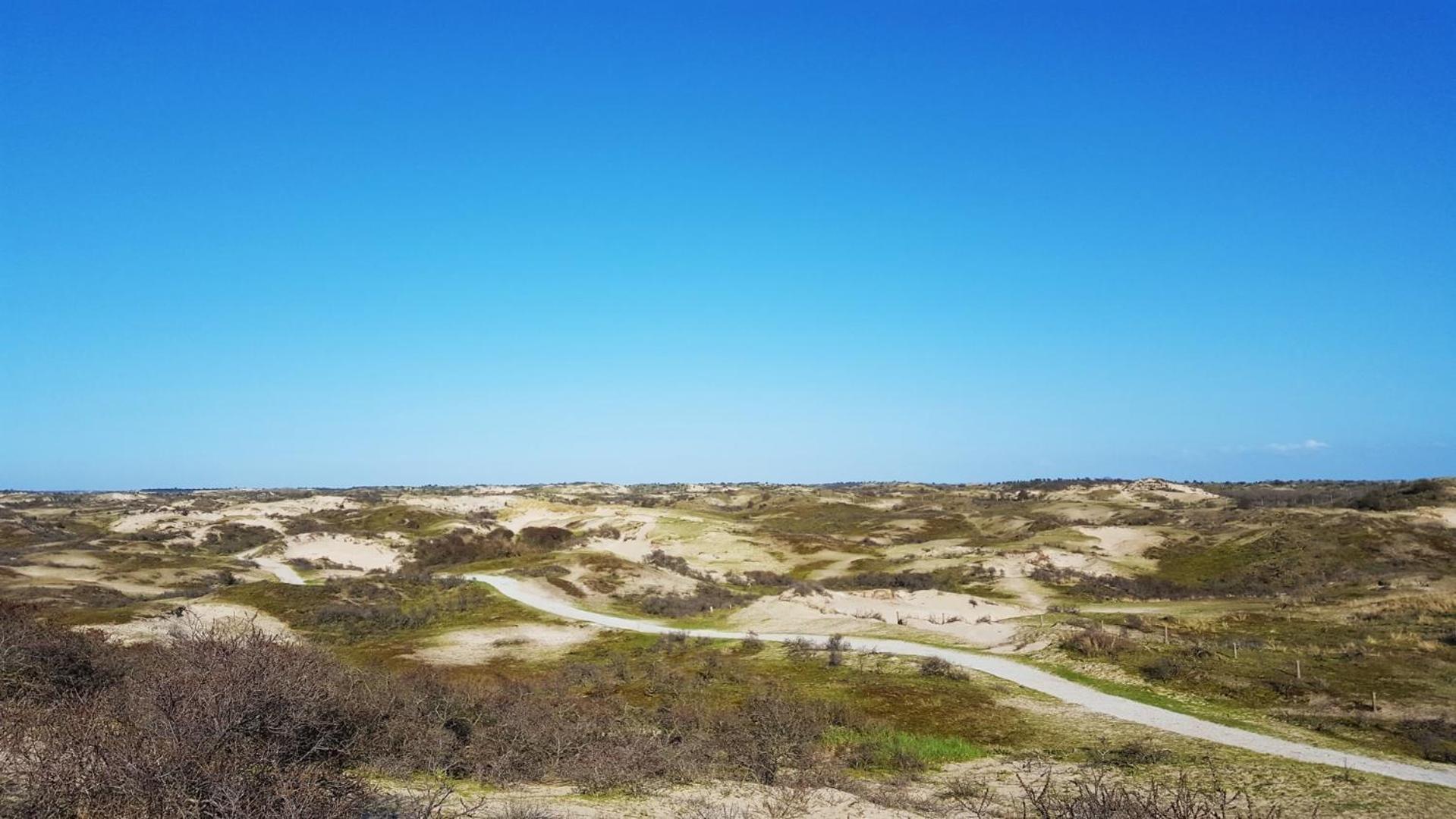 Bamboe Suite Bentveld Met Ligbad En Gratis Parkeren Exteriér fotografie